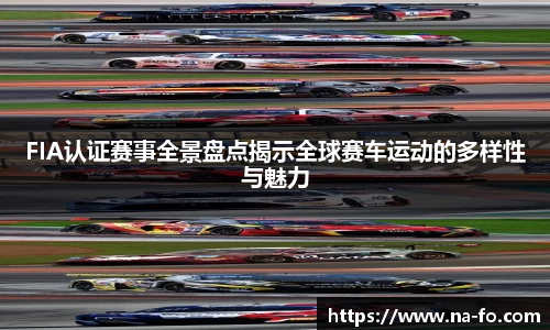 FIA认证赛事全景盘点揭示全球赛车运动的多样性与魅力