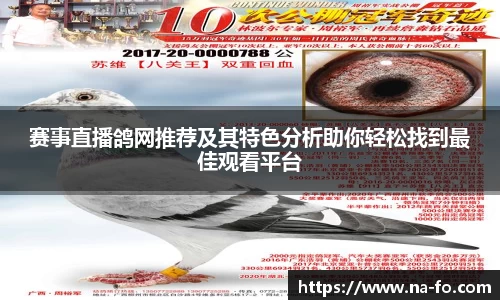 赛事直播鸽网推荐及其特色分析助你轻松找到最佳观看平台