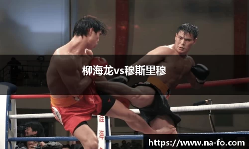 柳海龙vs穆斯里穆