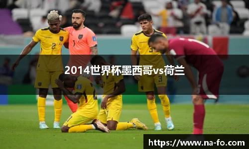 2014世界杯墨西哥vs荷兰