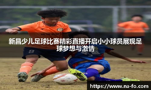 新昌少儿足球比赛精彩直播开启小小球员展现足球梦想与激情