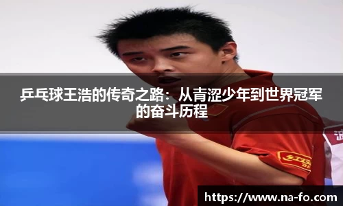 乒乓球王浩的传奇之路：从青涩少年到世界冠军的奋斗历程