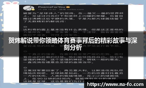 贺炜解说带你领略体育赛事背后的精彩故事与深刻分析